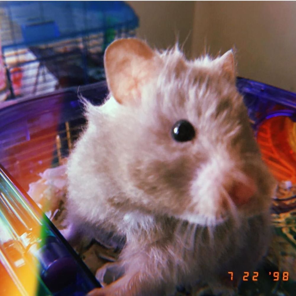 Meet your Posher, Ember